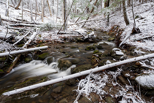 Nikon Z6 II Review: Field Test -- Gallery Image