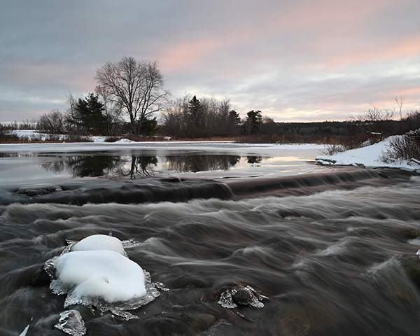 Nikon Z6 II Review: Field Test -- Gallery Image