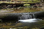 Click to see Y-JG-Z6-0272.JPG
