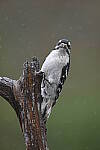 Click to see Y-JG-Z6-0653.JPG