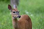 Click to see Y-JG-Z6-1545.JPG