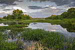 Click to see Y-JG-Z6-1626-MOD.JPG
