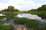 Click to see Y-JG-Z6-1626.JPG