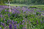 Click to see Y-JG-Z6-1653.JPG