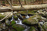 Click to see Y-JG-Z6-24-70-F2-8-0258-MOD.JPG