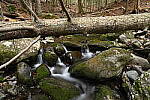 Click to see Y-JG-Z6-24-70-F2-8-0258.JPG