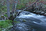 Click to see Y-JG-Z6-24-70-F2-8-0335.JPG