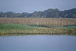 Click to see Y-WB-Z6-DSC_0274.JPG