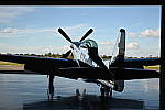Click to see Y-WB-Z6-DSC_0339.JPG