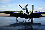 Click to see Y-WB-Z6-DSC_0345.JPG