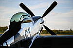 Click to see Y-WB-Z6-DSC_0403.JPG