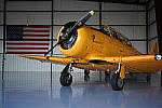 Click to see Y-WB-Z6-DSC_0516.JPG