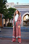 Click to see Y-WB-Z6-DSC_1176.JPG