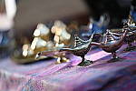 Click to see Y-WB-Z6-DSC_1528.JPG