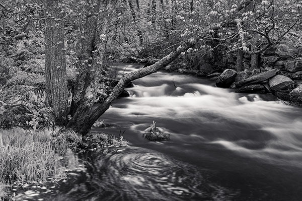 Nikon Z6 Review: Field Test -- Gallery Image