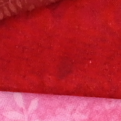 100% crop from Nikon Z6 test image taken at ISO 1600
