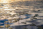 Click to see Y-JG-Z7-II-105-MC-1241-MOD.JPG
