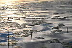 Click to see Y-JG-Z7-II-105-MC-1241.JPG