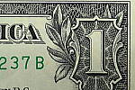 Click to see Y-JG-Z7-II-105-MC-1346-SHARP-MACRO-F5-6.JPG