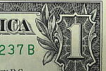 Click to see Y-JG-Z7-II-105-MC-1350-SHARP-MACRO-F22.JPG