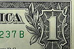 Click to see Y-JG-Z7-II-105-MC-1351-SHARP-MACRO-F32.JPG