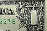 Click to see Y-JG-Z7-II-105-MC-1352-SHARP-MACRO-F45.JPG