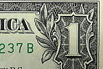Click to see Y-JG-Z7-II-105-MC-1353-SHARP-MACRO-F51.JPG