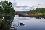 Click to see Y-JG-Z7-II-24-200-1484-MOD.jpg