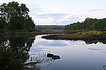 Click to see Y-JG-Z7-II-24-200-1484.JPG