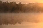 Click to see Y-JG-Z7-II-24-200-1774.JPG
