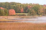 Click to see Y-JG-Z7-II-24-200-1778.JPG