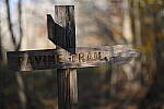 Click to see Y-JG-Z7-II-50-F1-2-2255.JPG