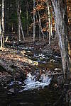 Click to see Y-JG-Z7-II-50-F1-2-2275.JPG