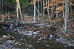 Click to see Y-JG-Z7-II-50-F1-2-2295.JPG