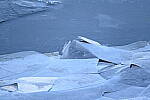 Click to see Y-JG-Z7-II-Z-100-400-0583.JPG