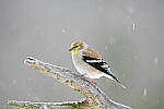 Click to see Y-JG-Z7-II-Z-100-400-0657.JPG