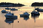 Click to see Y-JG-Z7-II-Z-100-400-1164.JPG