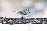 Click to see Y-JG-Z7-II-Z-100-400-1204.JPG