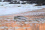 Click to see Y-JG-Z7-II-Z-100-400-1346.JPG