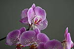 Click to see Y-JG-Z7-II-Z-100-400-1528.JPG