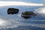 Click to see Y-Z7-II-JG-0188.JPG