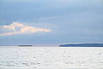 Click to see Y-Z7-II-JG-0594.JPG