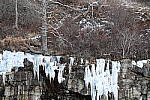 Click to see Y-Z7-II-JG-0954.JPG