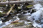Click to see Y-Z7-II-JG-1236.JPG
