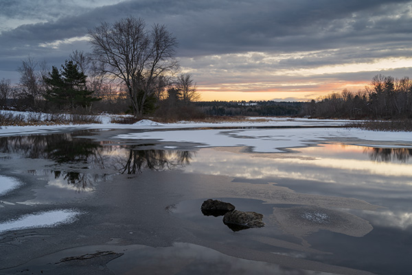 Nikon Z7 II Review: Field Test -- Gallery Image