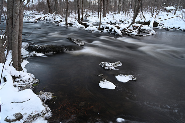 Nikon Z7 II Review: Field Test -- Gallery Image