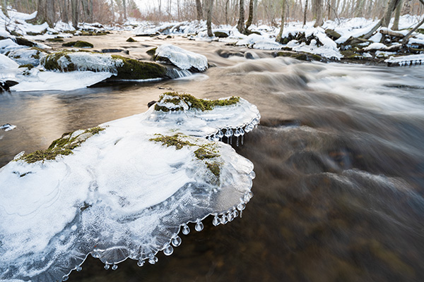 Nikon Z7 II Review: Field Test -- Gallery Image