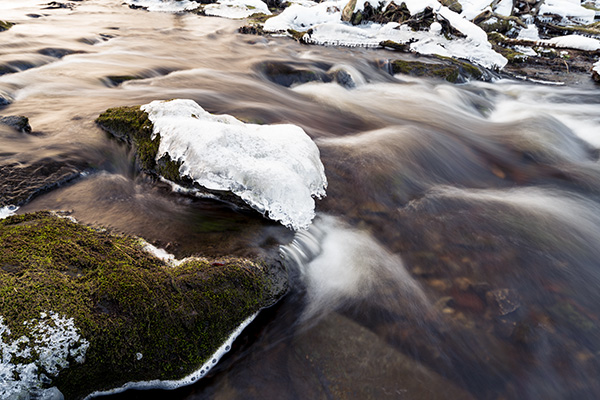 Nikon Z7 II Review: Field Test -- Gallery Image