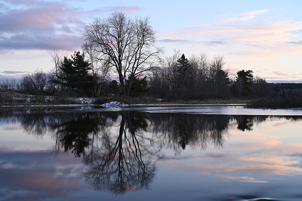 Nikon Z7 II Review: Field Test -- Gallery Image