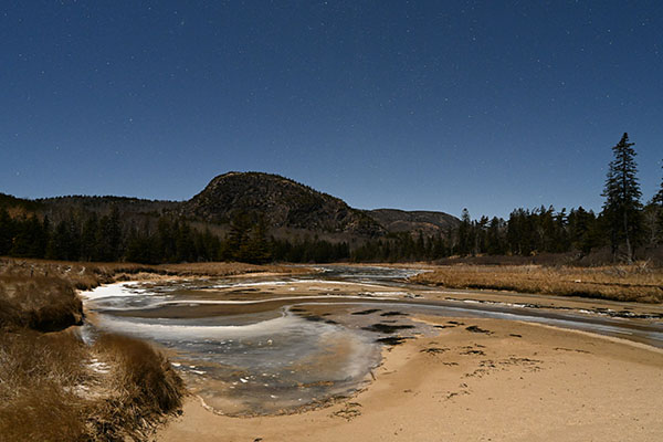 Nikon Z7 II Review: Field Test -- Gallery Image